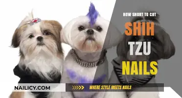 Trimming Shih Tzu Nails: How Short is Too Short?