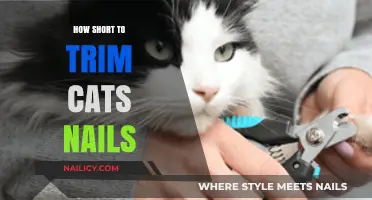 Trimming Cat Claws: How Short is Too Short?