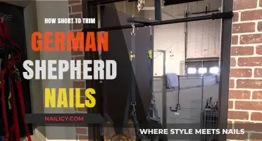 German Shepherd Nail Trimming: The Ideal Short Length