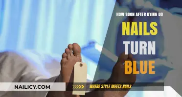 Understanding Postmortem Nail Changes: When Do Nails Turn Blue After Death?