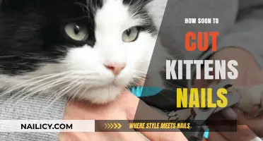 The Right Time to Cut Your Kitten's Nails