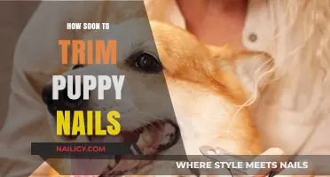 Trimming Puppy Nails: When to Start and How Often