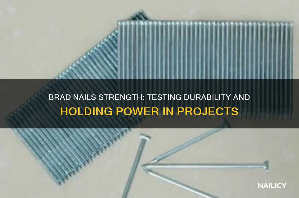how strong are brad nails