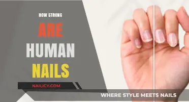Unbreakable or Fragile? Exploring the Surprising Strength of Human Nails