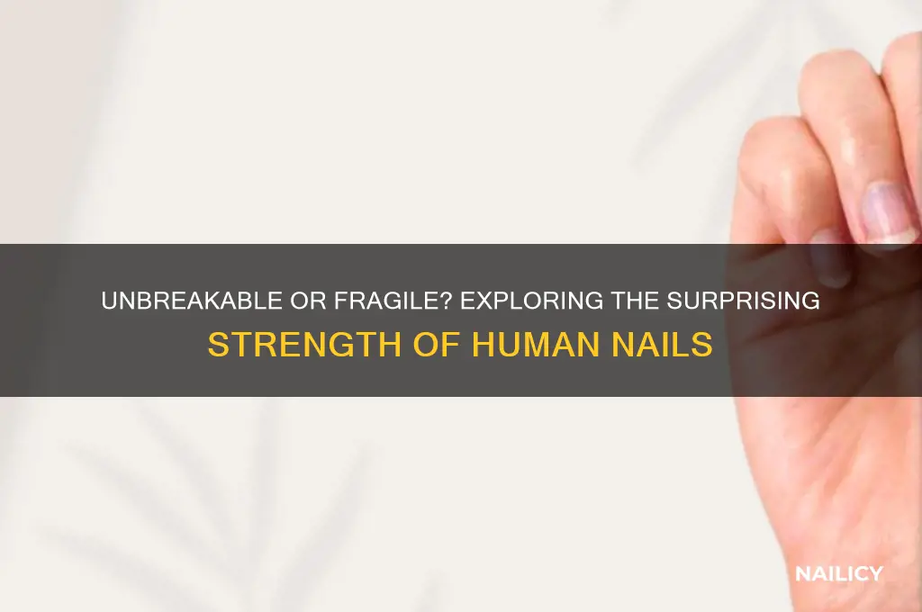 how strong are human nails