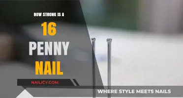 Unveiling the Strength of 16 Penny Nails in Construction Projects