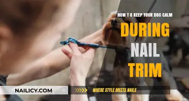 Calm Nail Trims: Tips to Keep Your Pup Relaxed