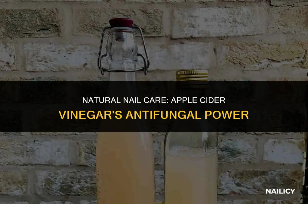 how t ok usee apple cider for nail fungus