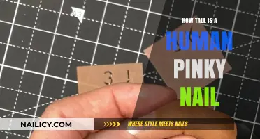 Human Pinky Nail Height: Surprising Facts About Its Average Size