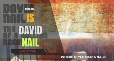 Discovering David Nail's Height: Facts and Figures Revealed