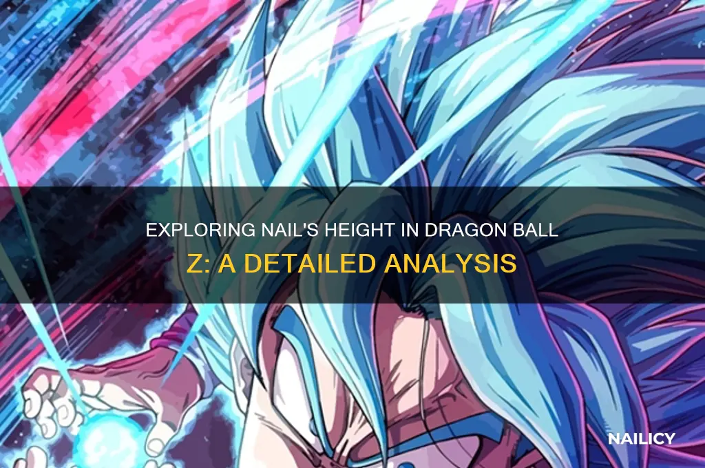 how tall is nail dbz