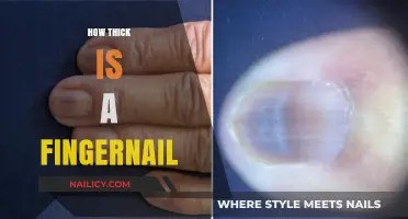 Exploring the Surprising Thickness of a Human Fingernail