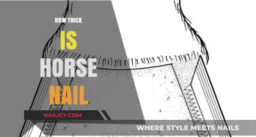 Understanding the Surprising Thickness of a Horse Nail: A Guide