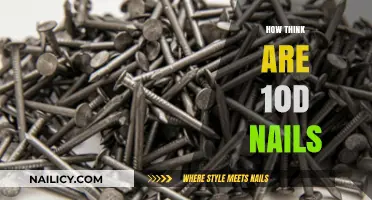 Understanding 10D Nails: Uses, Strength, and Application Tips