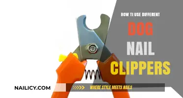 Mastering the Art of Dog Nail Trimming: A Clipper Guide