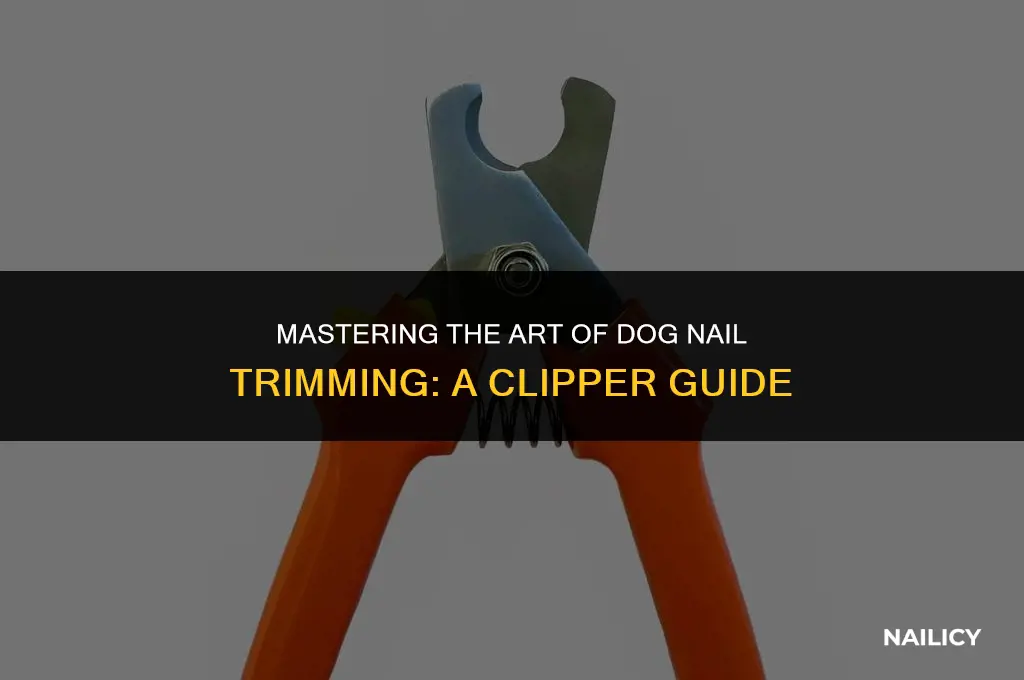 how ti use different dog nail clippers
