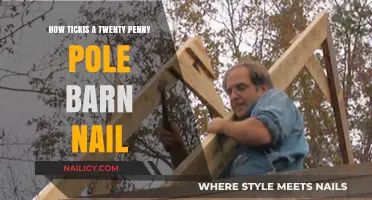 How Strong is a Twenty Penny Pole Barn Nail?