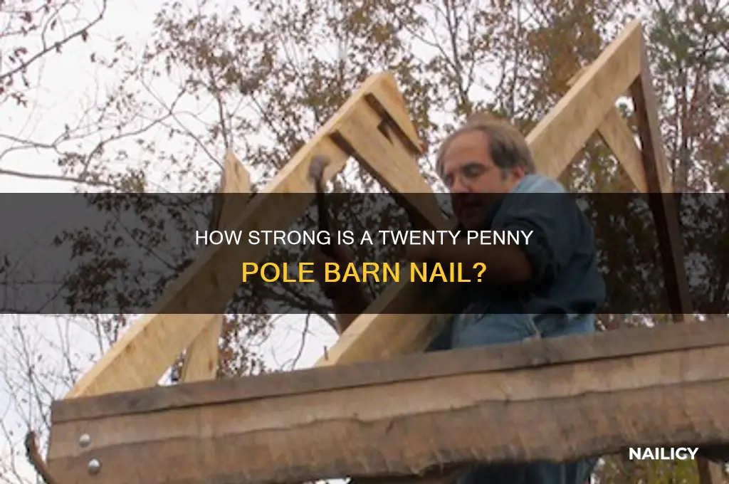 how tickis a twenty penny pole barn nail