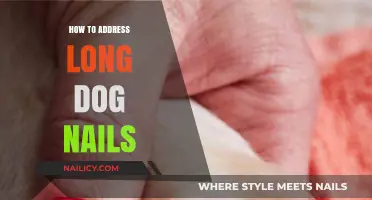 Trim Your Dog's Nails: Quick and Easy Steps