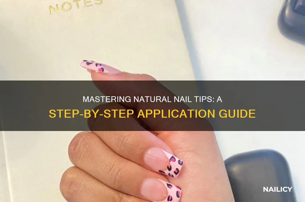 how to apply a tip to natural nail