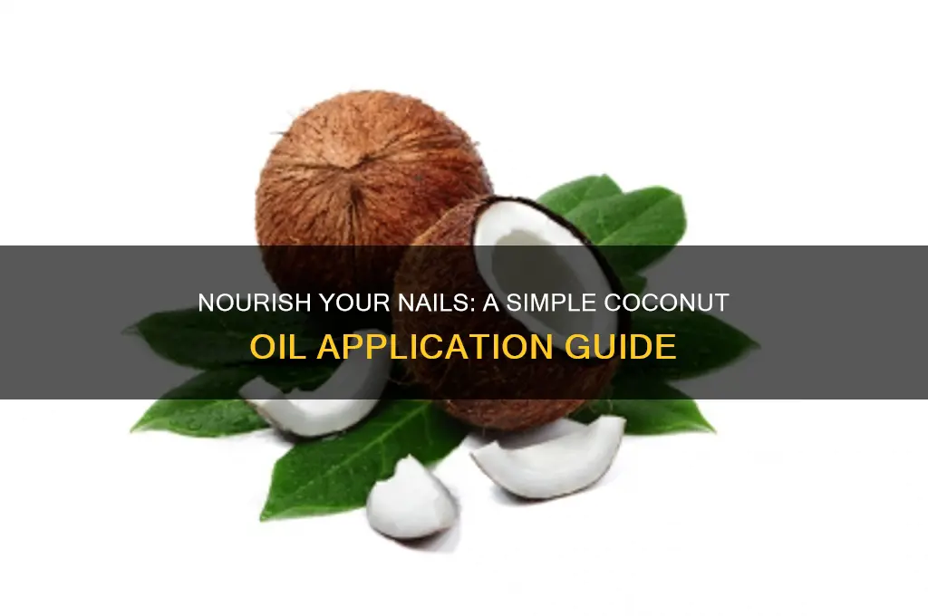 how to apply coconut oil on nails
