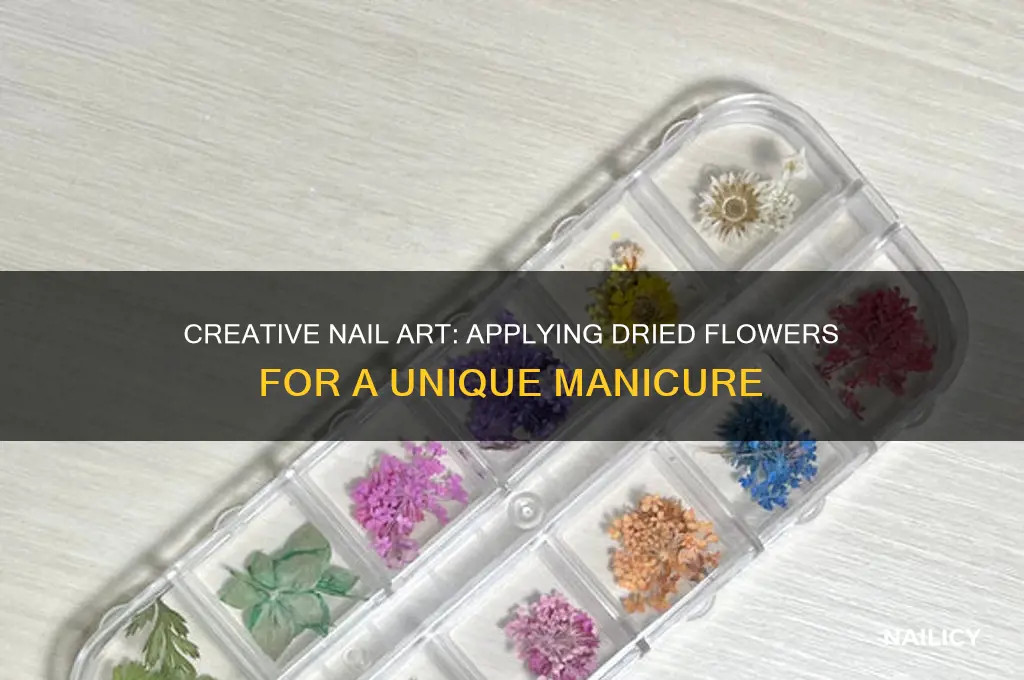 how to apply dried flowers to nail