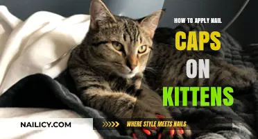 Safely Applying Nail Caps on Kittens: A Step-by-Step Guide
