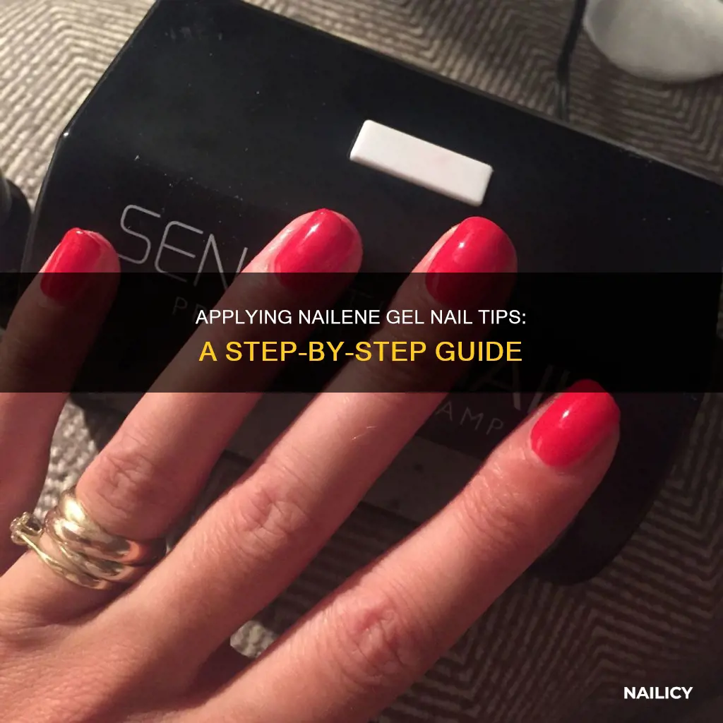 how to apply nailene gel nail tips