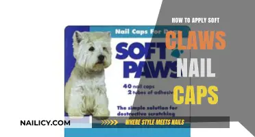 Easy Guide to Applying Soft Claws Nail Caps for Cats