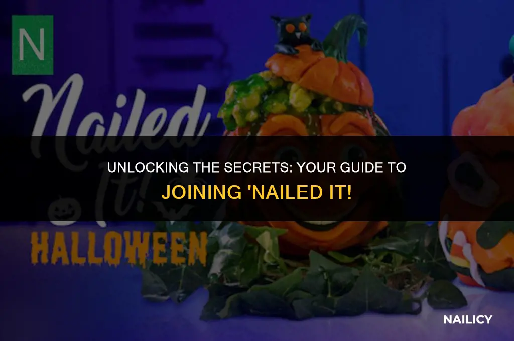 how to apply to get on the show nailed it