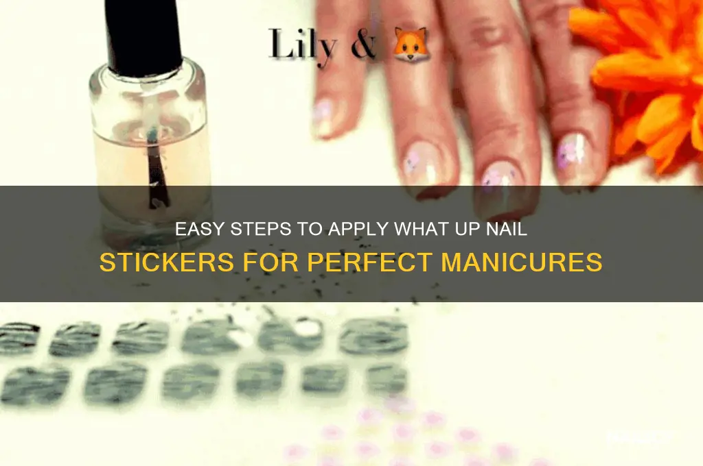 how to apply what up nail stickers