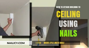 Effortless Elegance: Nailing Molding to Your Ceiling Like a Pro