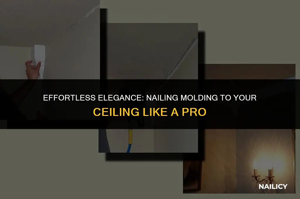 how to attach molding to ceiling using nails
