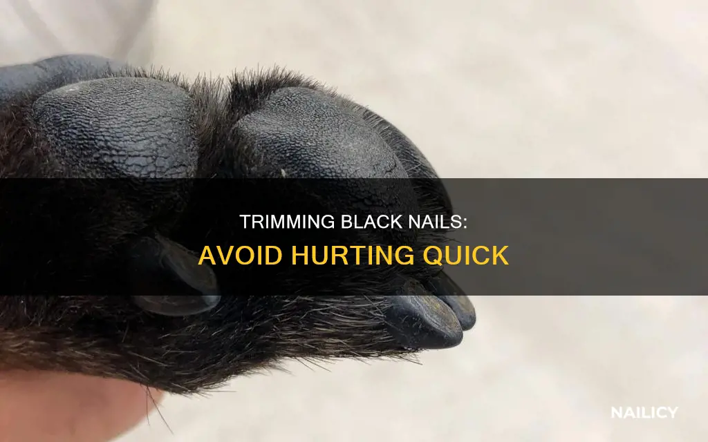 how to avoid cutting the quick on black nails