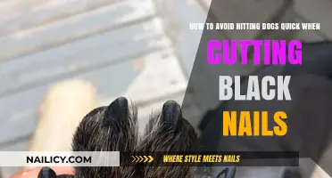 Black Nails: Quick Tips to Avoid Hurting Dogs