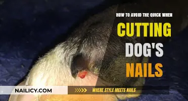 Trimming Dog Nails: Avoiding the Quick