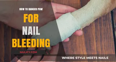 Quick Fix for Bleeding Nails: How to Safely Bandage Your Paw