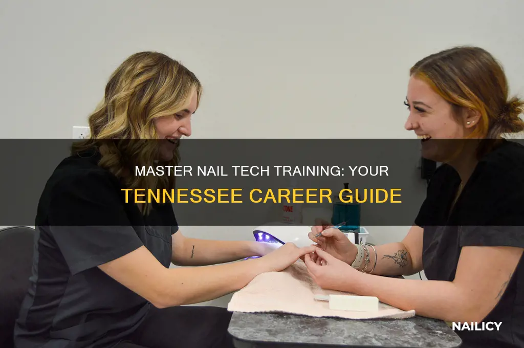 how to become a nail tech in tennessee