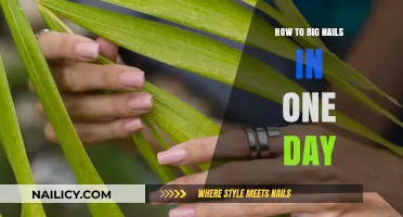 Quick Nail Growth Secrets: Achieve Bigger Nails in Just One Day