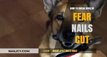Calm Dog Nail Trims: Overcoming Fear and Anxiety
