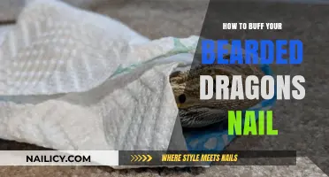 Grooming Your Bearded Dragon: Easy Nail Buffing Tips for Owners