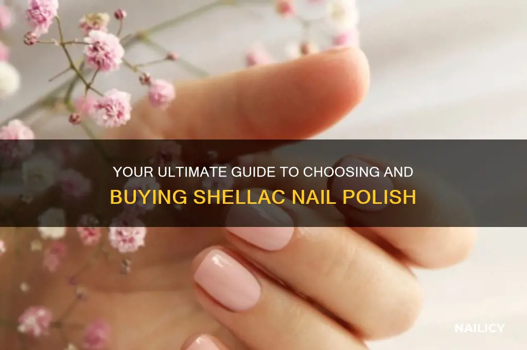 how to buy shellac nail polish