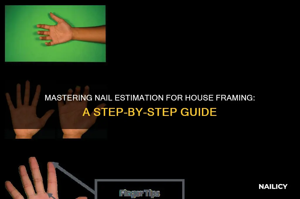 how to calculate nails for framing house