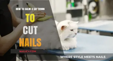 Calm Cat Nail Trimming: Tips and Tricks