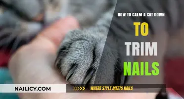 Calmly Trim Your Cat's Nails: Tips and Tricks