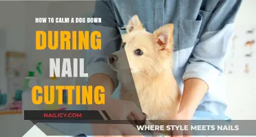 Calm Nail Cutting: Tips for a Relaxed Pup