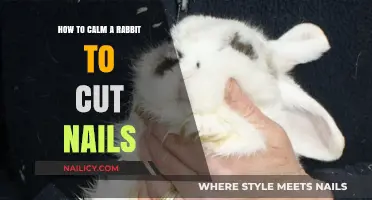 Calmly Trim Your Rabbit's Nails: Tips and Tricks