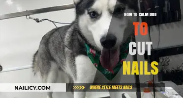 Calmly Cutting Your Dog's Nails: A Step-by-Step Guide