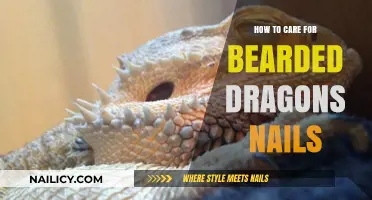 Caring for Your Bearded Dragon's Nails: A Complete Guide