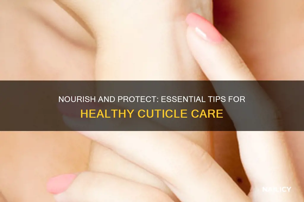 how to care for cuticles